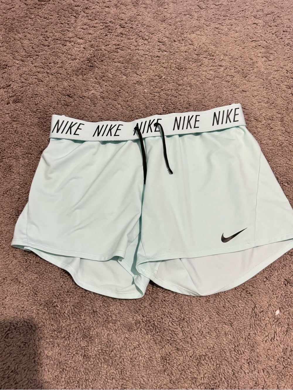 Nike Women's Mint Blue Dri Fit Shorts